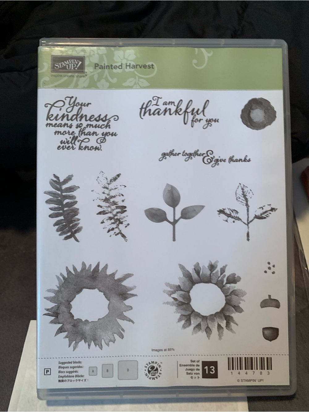 Stampin' Up! Painted Harvest Stamp Set